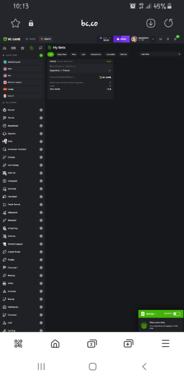 Screenshot_20221219-101347_Samsung Internet.png